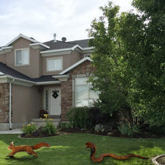 Halloween prank setup with SIENON snake to add playful scare