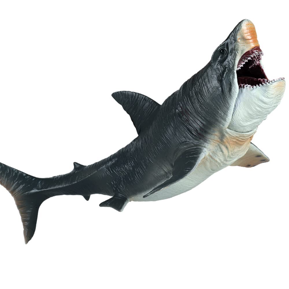 SIENON Megalodon shark figure with open jaws for dramatic bath-time play.