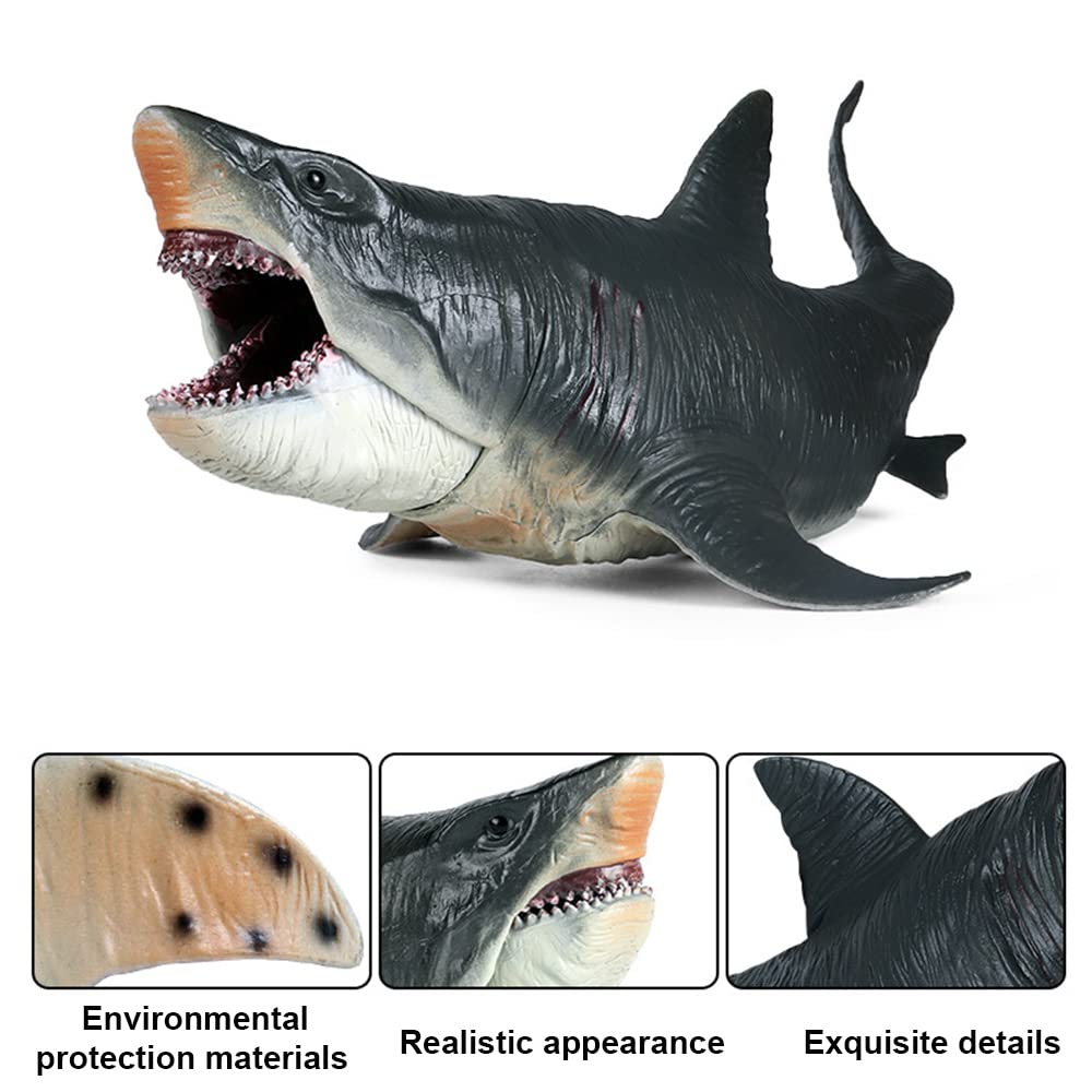 Durable BPA-free plastic suitable for bath time and water play.