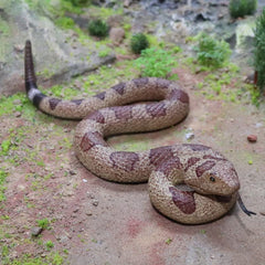 SIENON snake toy for Halloween-prank decor and playful surprises