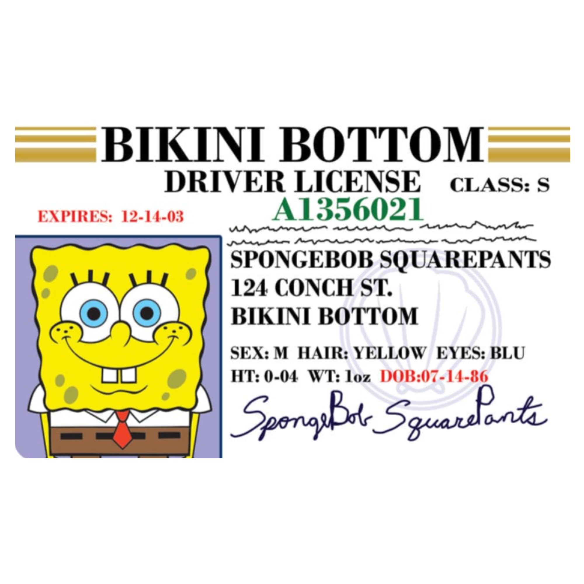 Signs 4 Fun parody driver’s license Spongebob ID front view for playful conversations