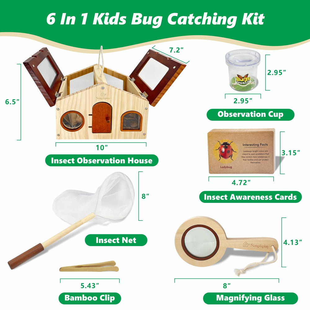 SIMPLIPLAY 15 insect cards to identify species and behavior