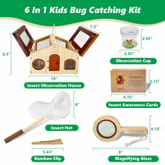 SIMPLIPLAY 15 insect cards to identify species and behavior