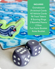 SimplyFun Arctic Riders cards verify answers for independent or cooperative play