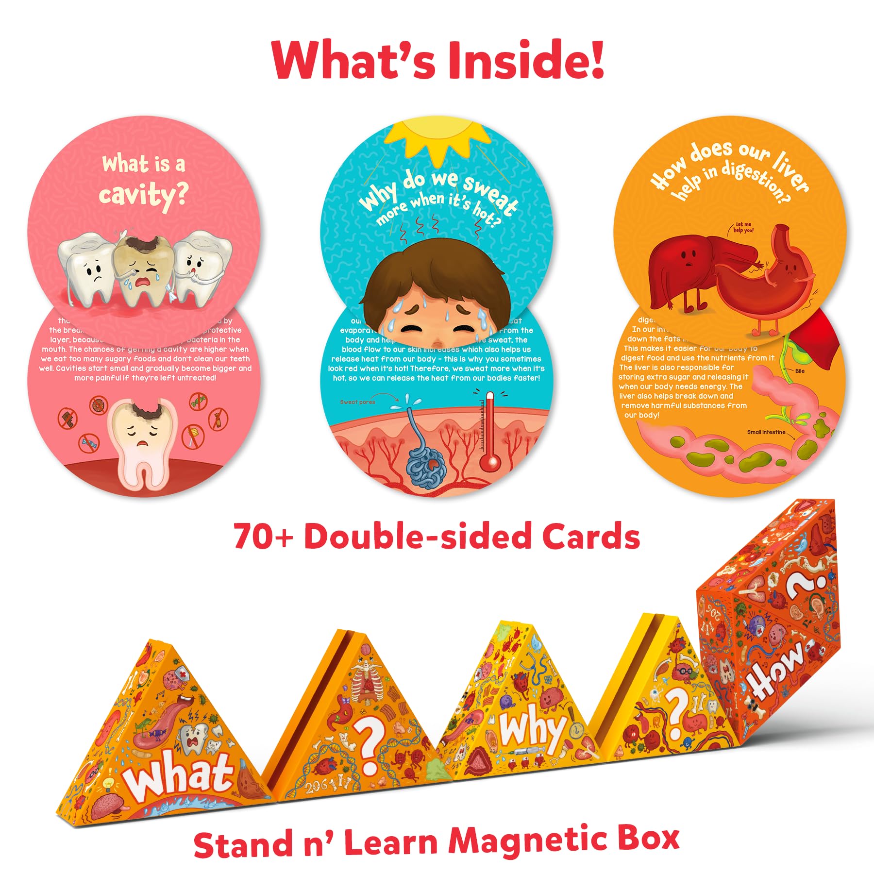 Skillmatics anatomy systems card illustrating organs for hands-on learning and discussion.