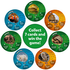 Skillmatics Guess in 10 Animal Picture Clues animal cards showcase colorful illustrations.
