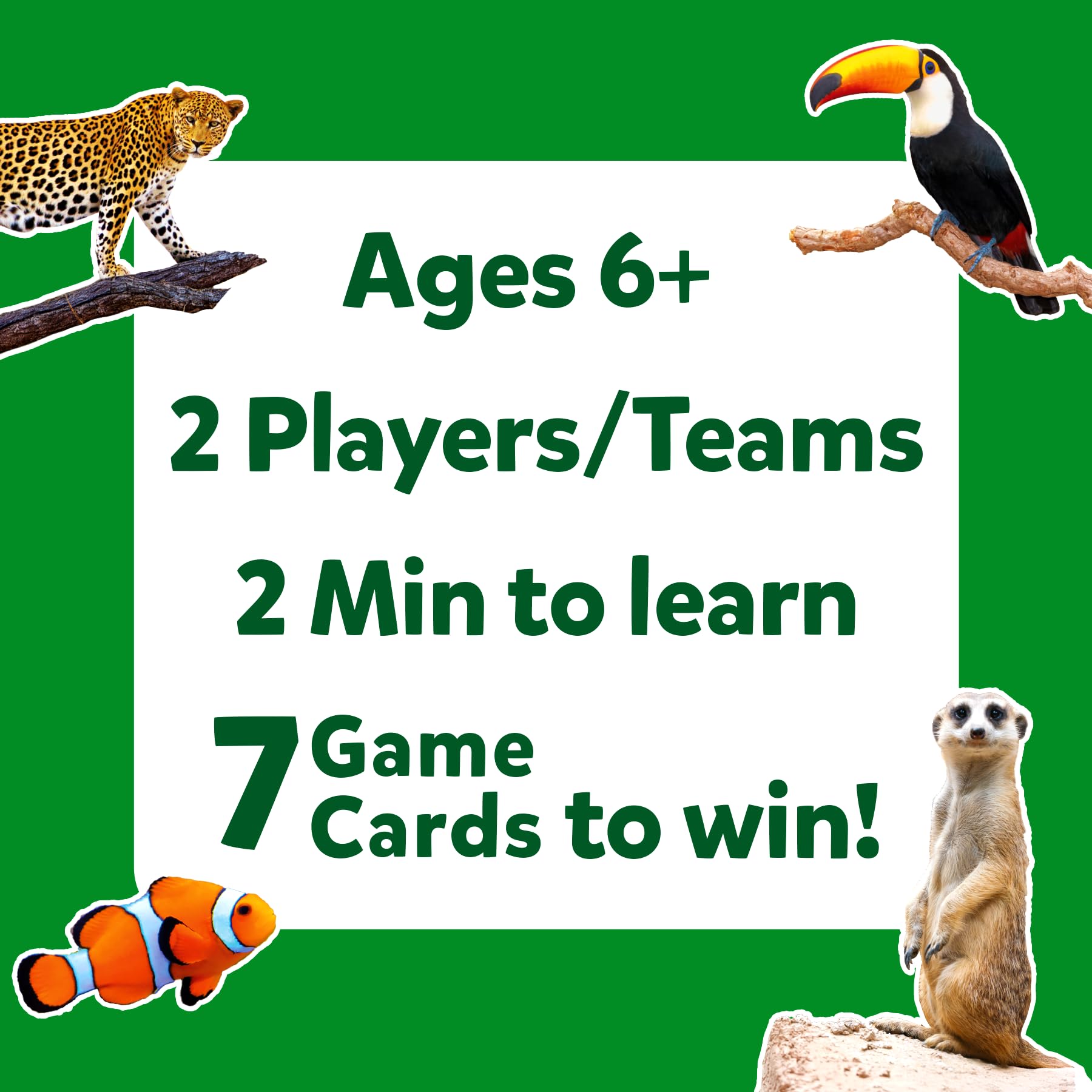 Skillmatics Guess in 10 Animal Picture Clues two-player rounds for quick bonding.
