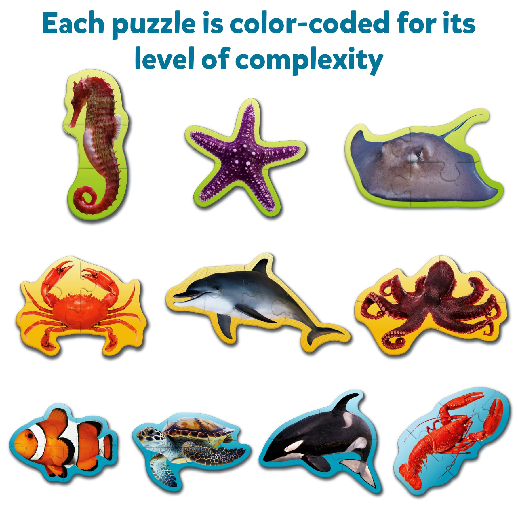 Skillmatics Stage-Based Learning: progression that builds confidence in puzzle play.