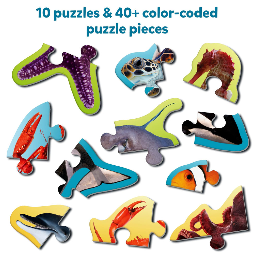 Skillmatics Step by Step Puzzles: 4-piece underwater puzzle with color coding for sorting.