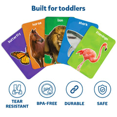 Skillmatics thick flash cards illustrating birds for noticing details and habitats.