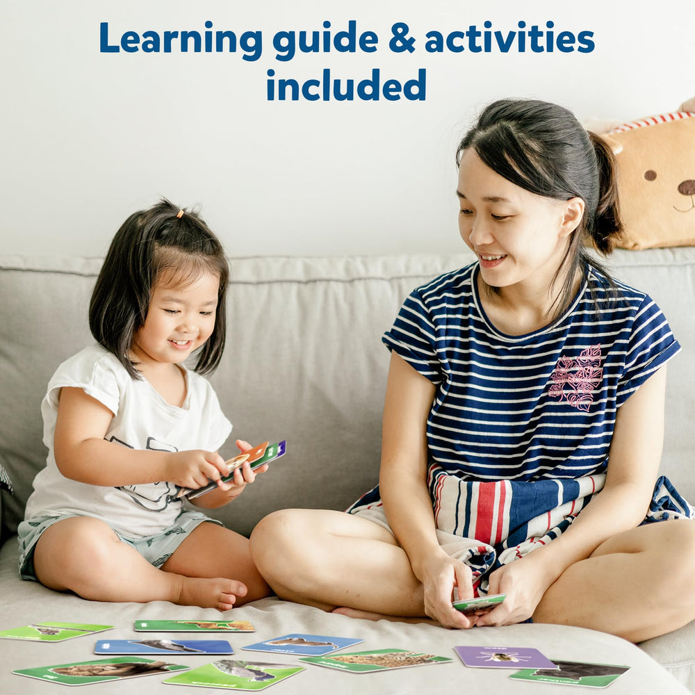 Skillmatics thick flash cards depicting insects to help toddlers recognize and sort.