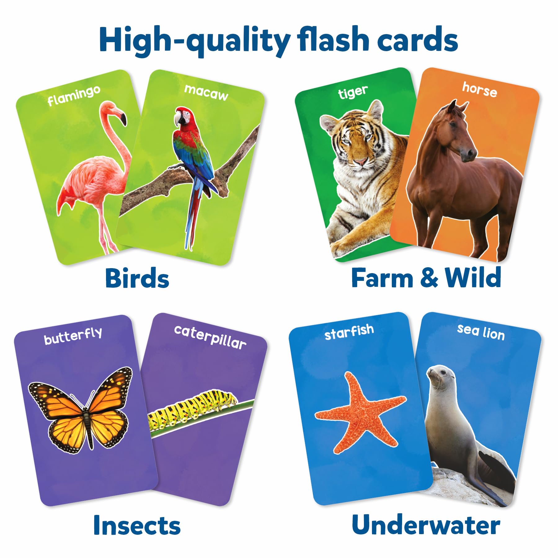 Skillmatics thick flash cards featuring underwater animals for immersive sensory exploration.
