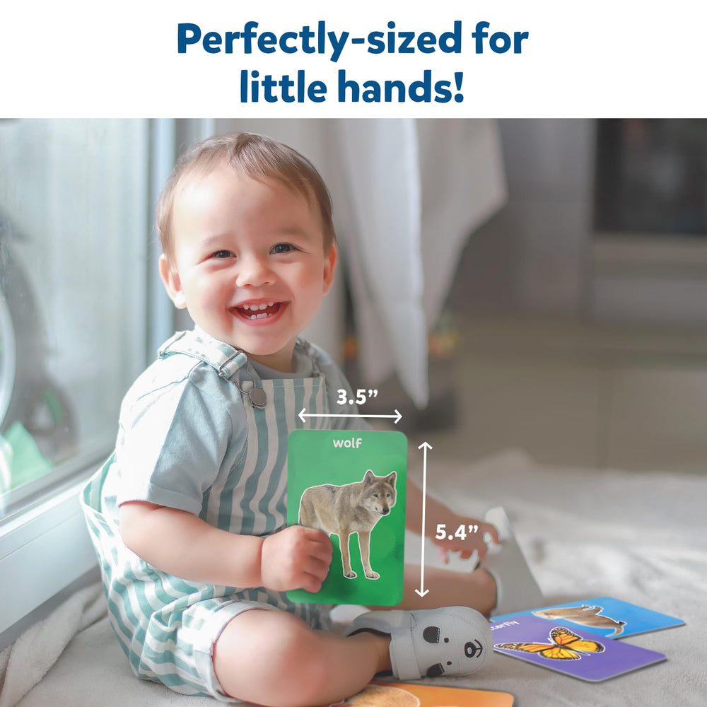 Skillmatics thick flash cards showing wild animals to spark curiosity and observation.