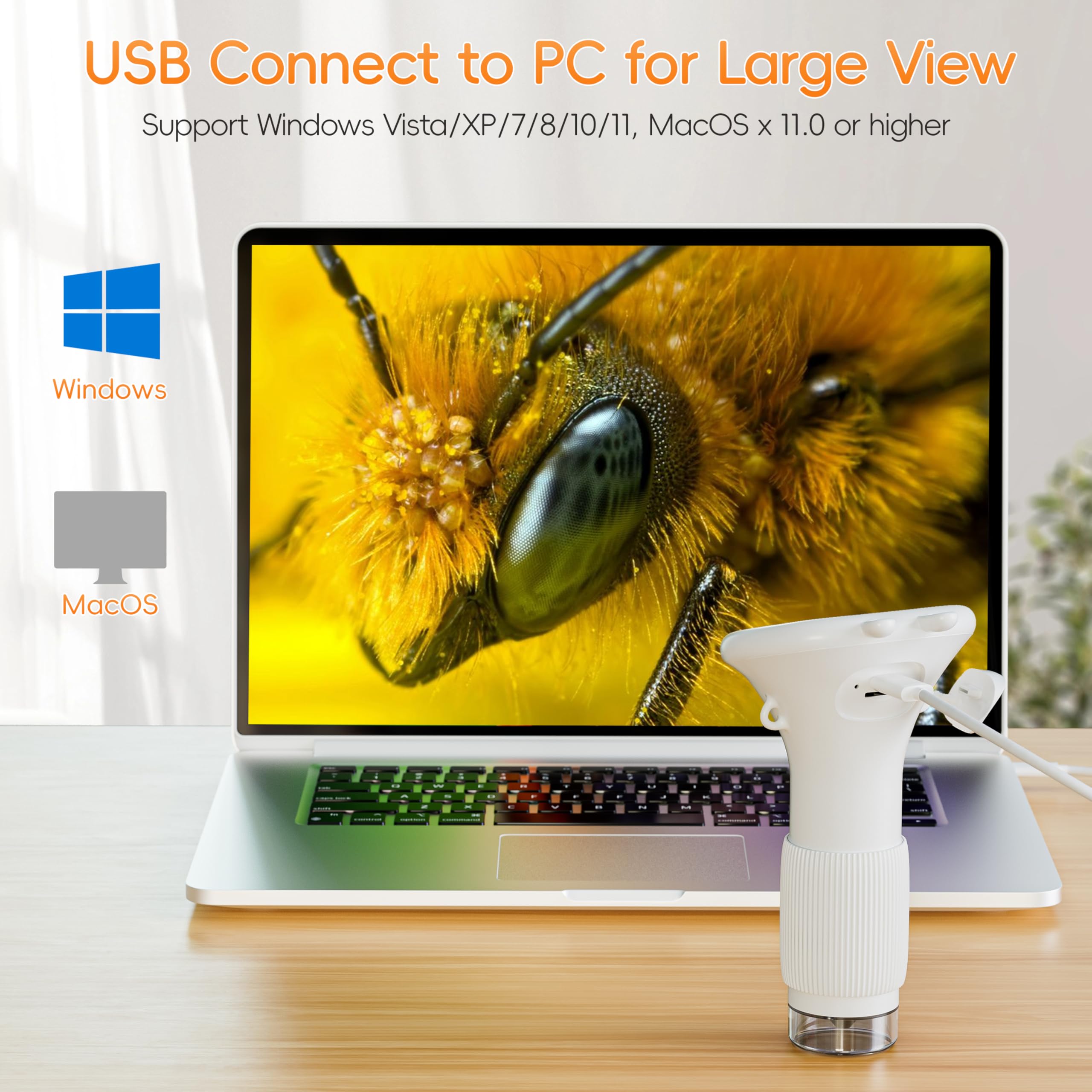Connects to PC for larger viewing on Windows or Mac