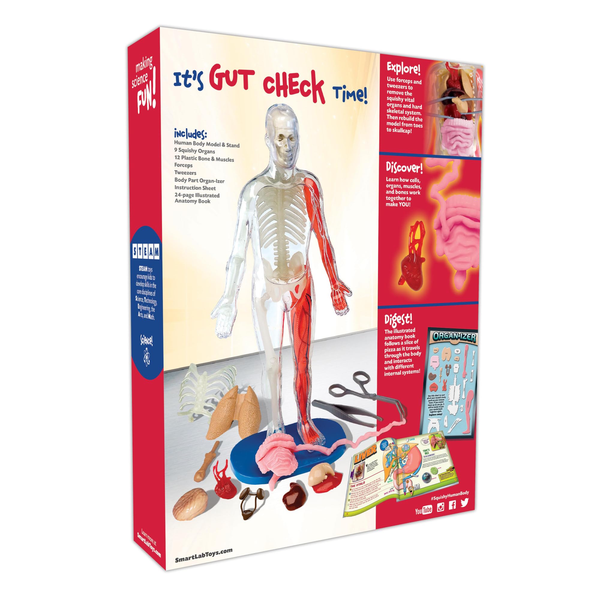 SmartLab QPG Lab classroom set with squishy organs for anatomy practice.