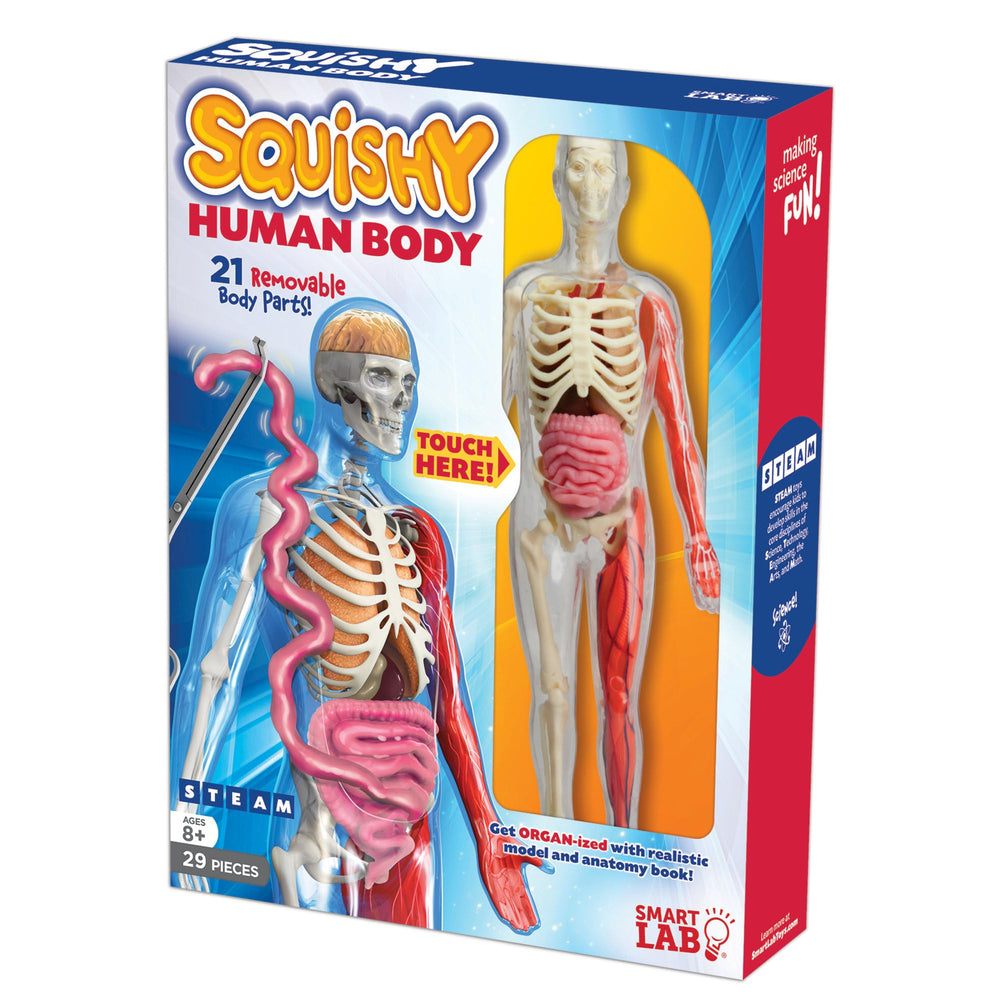 SmartLab QPG Lab educational toy showcasing squishy human anatomy for experiential learning.