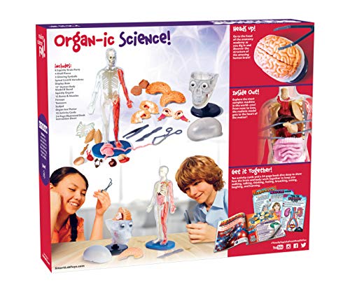 SMARTLAB Totally Squishy brain for interactive brain structure learning.