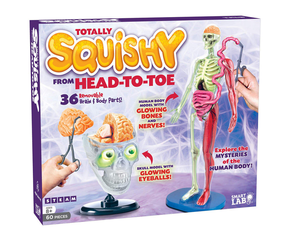 SMARTLAB Totally Squishy head-to-toe model for hands-on anatomy exploration.