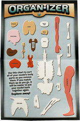 SMARTLAB Toys Squishy Human Body anatomy book for curious minds