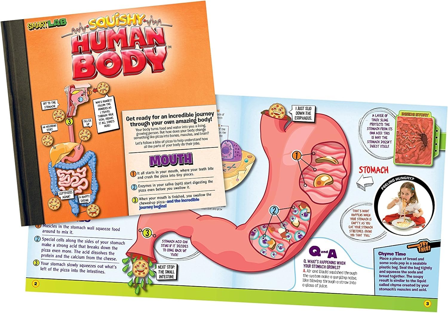 SMARTLAB Toys Squishy Human Body organizer mat keeps play tidy