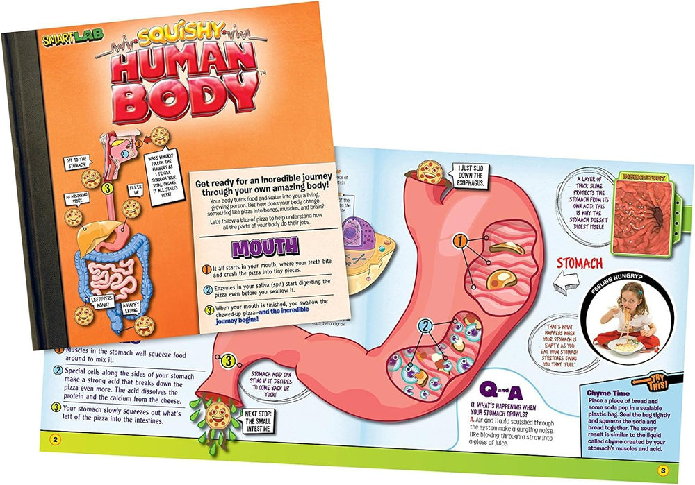 SMARTLAB Toys Squishy Human Body organizer mat keeps play tidy