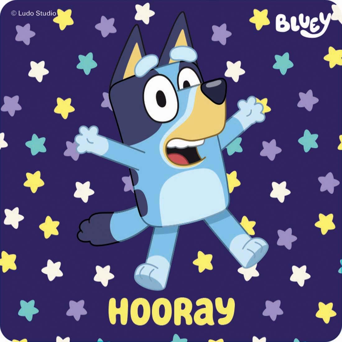 SmileMakers Bluey stickers featuring Bluey design to engage students in learning.