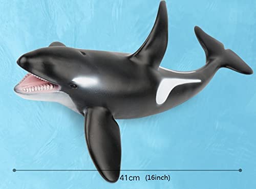 SmilerSmile killer whale, detailed jaw and skin, engaging for storytelling and demonstrations.
