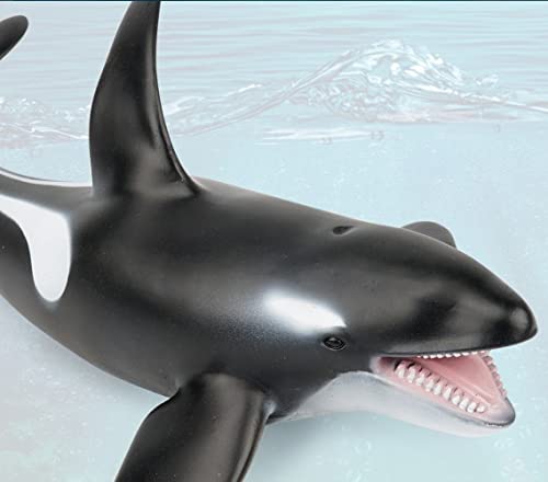 SmilerSmile ocean-themed display piece, perfect for decorations and party setups.