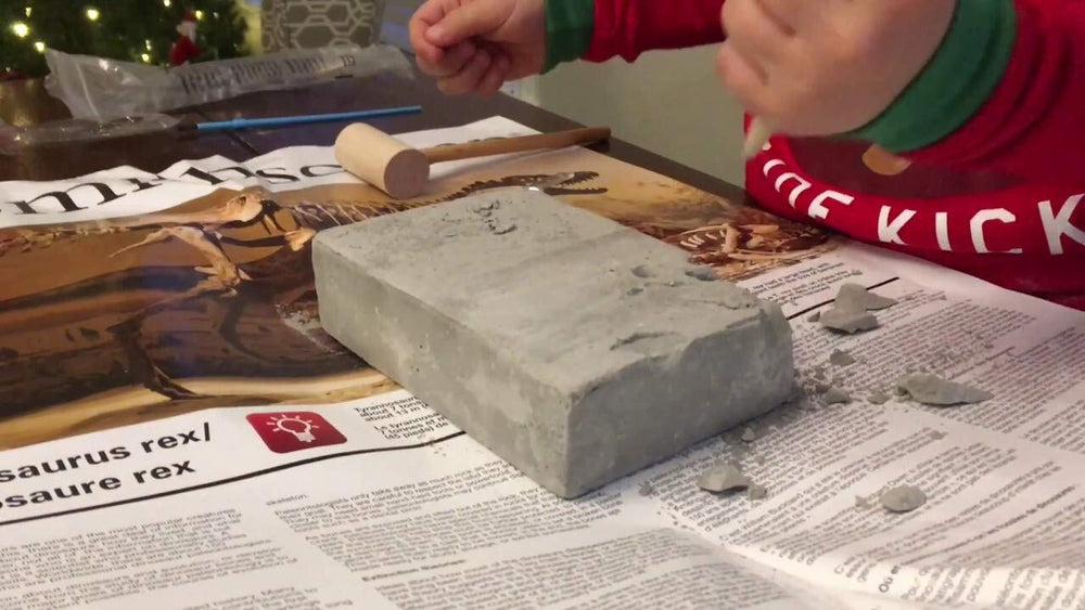 Smithsonian Diggin' Up Dinosaurs color poster with instructions supports planning the build.