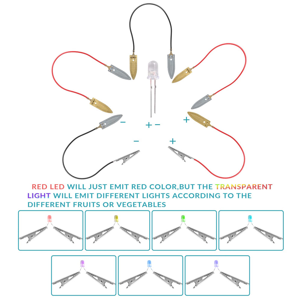 Sntieecr fruit battery kit motor and propeller ready for motion experiments