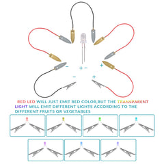 Sntieecr fruit battery kit motor and propeller ready for motion experiments