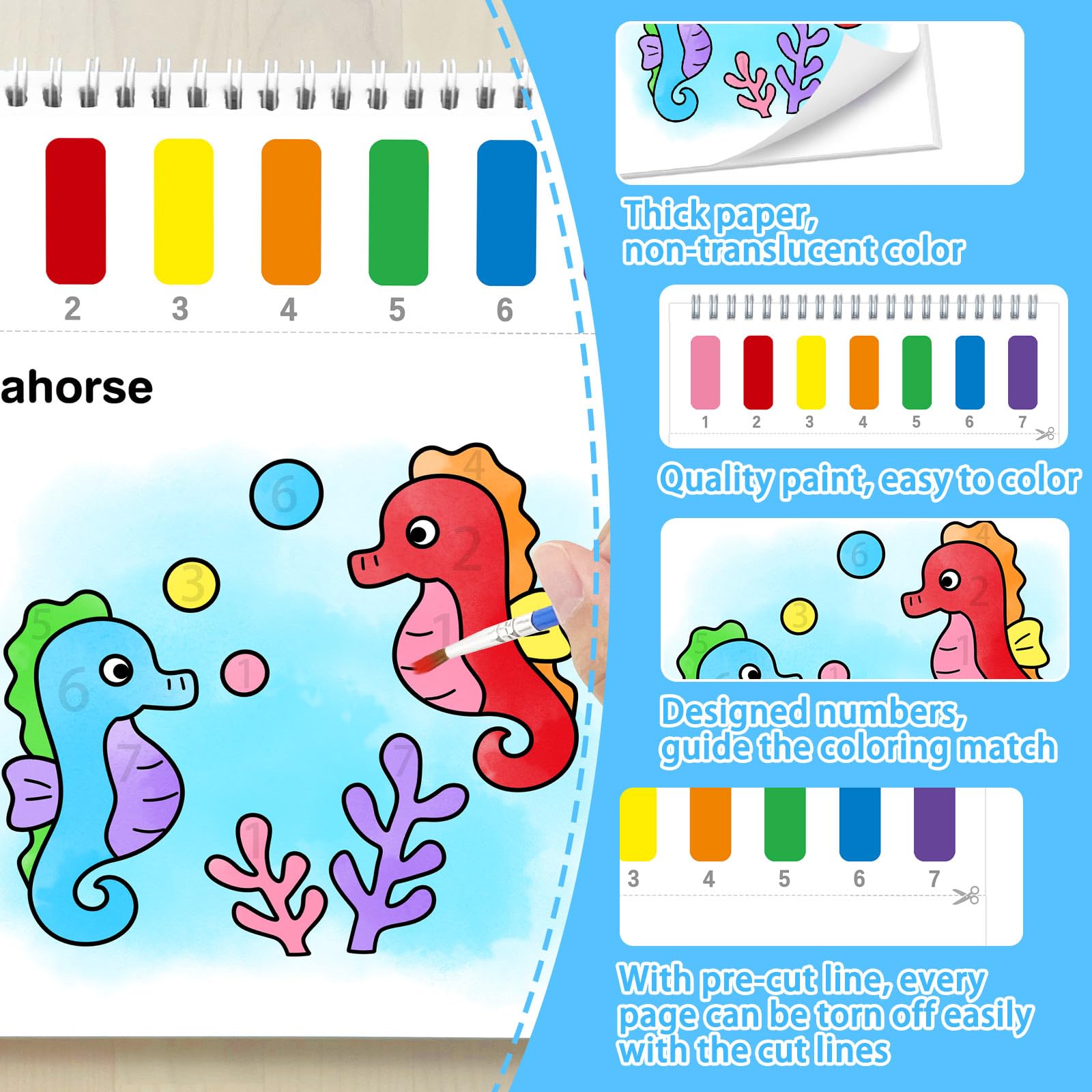 SOCOLER toddler-friendly brushes suit small hands for smooth coloring.