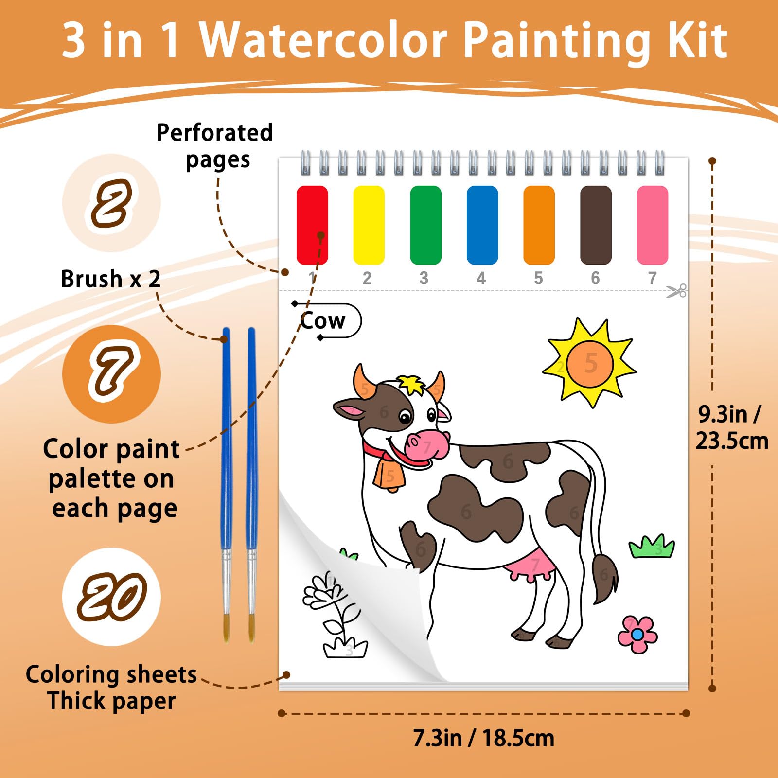 SOCOLER two included brushes ensure smooth coloring for little hands