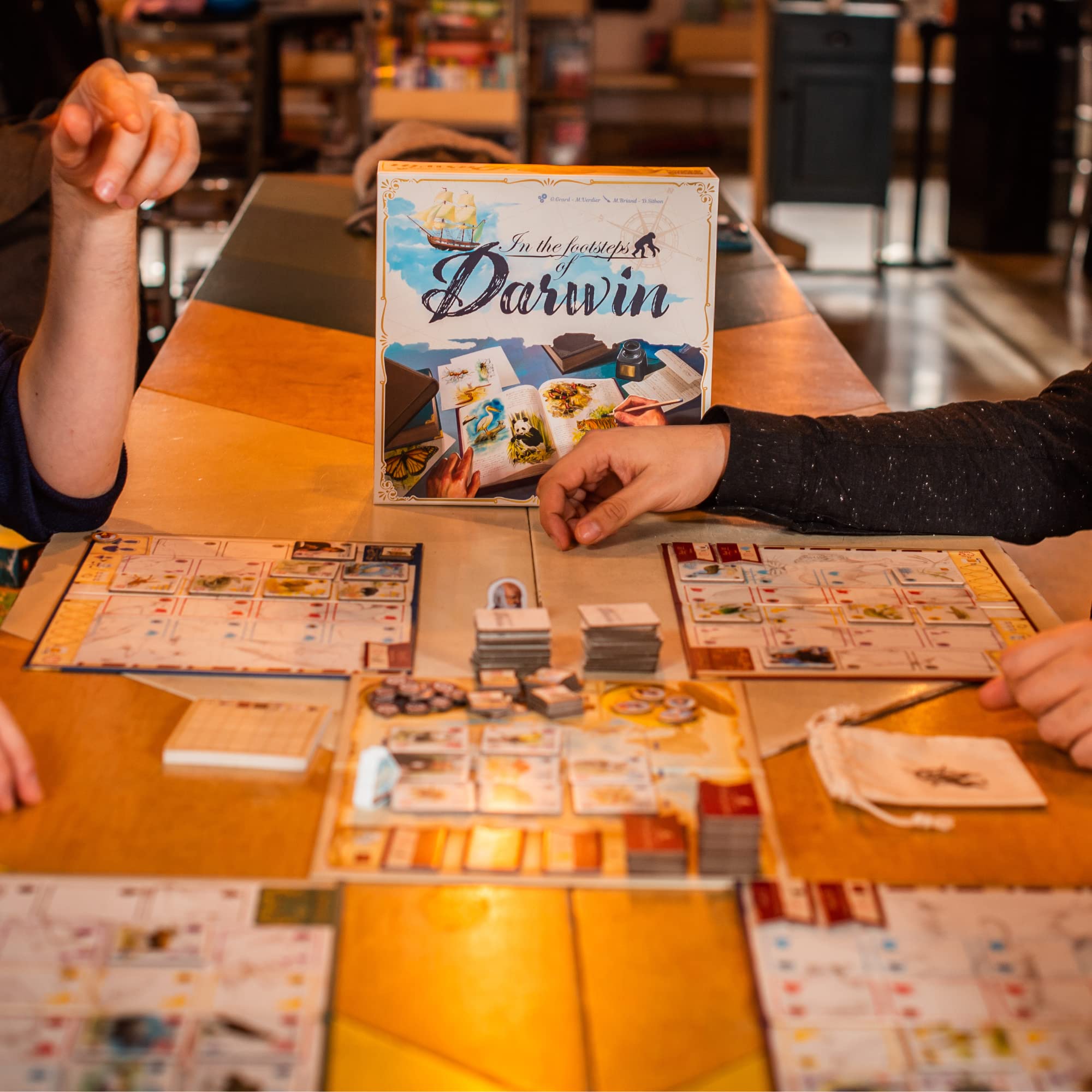 Sorry We Are French board scene shows strategic play in action.