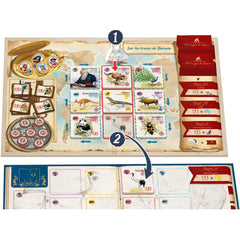 Sorry We Are French endgame scoring highlights payoff opportunities.