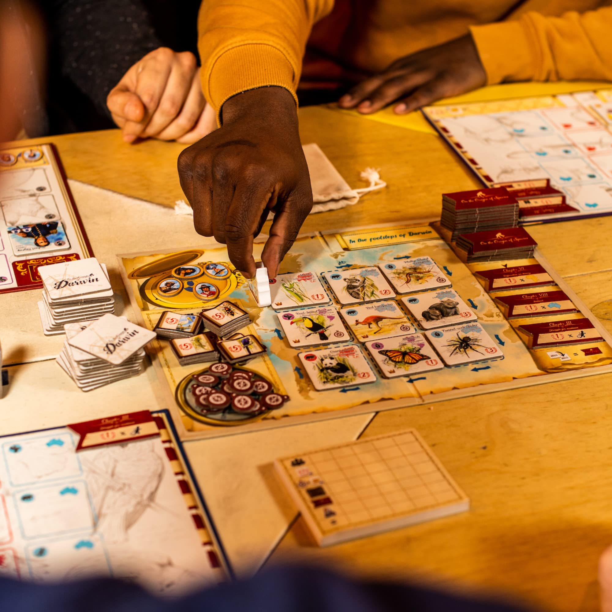 Sorry We Are French tokens and counters enhance clarity during quick rounds.