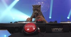 Sound RX Hype Button packaging, compact gag gift for parties and events.