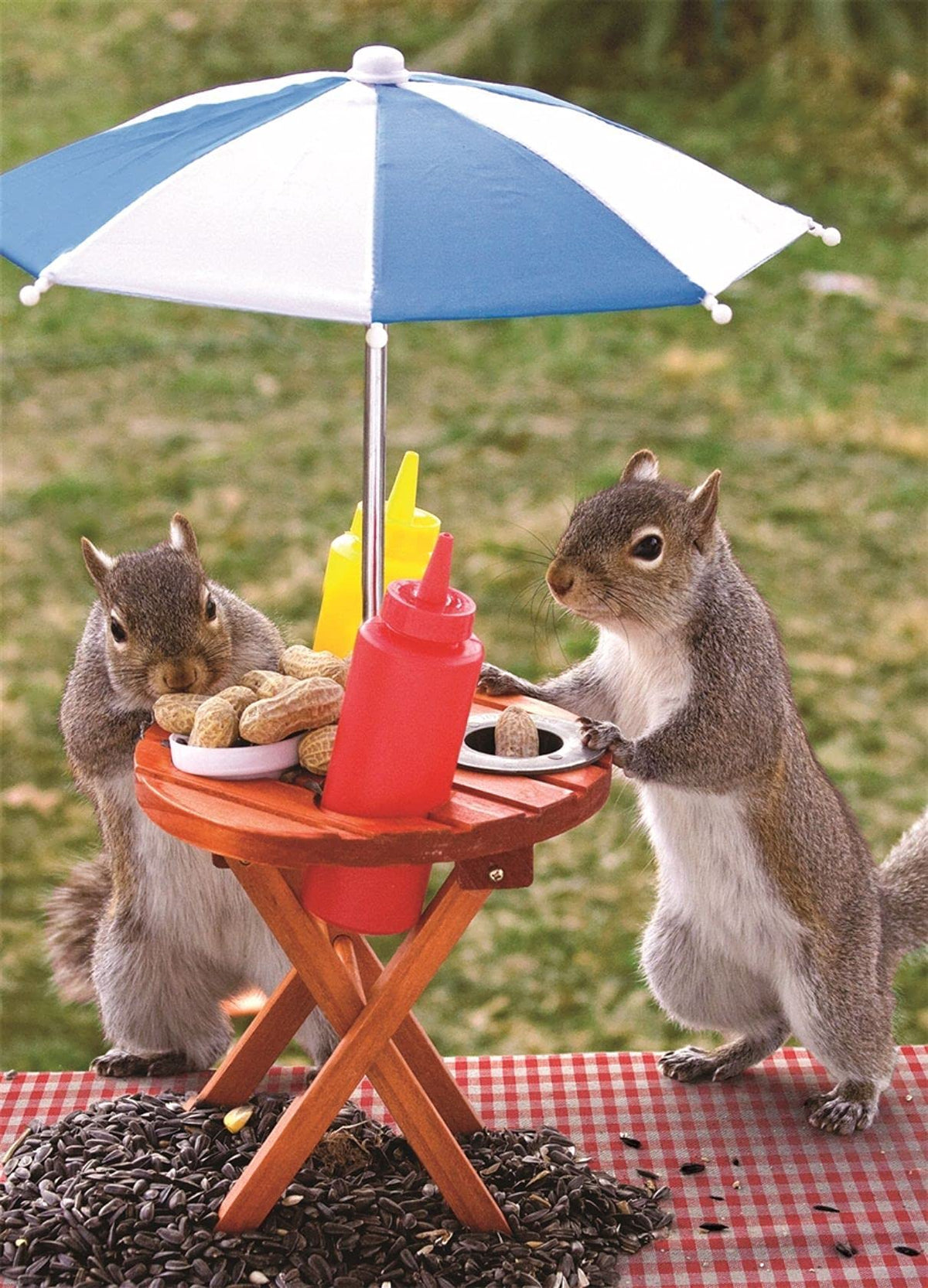 Springbok 350-piece squirrel feeder puzzle box showing playful squirrels for family bonding