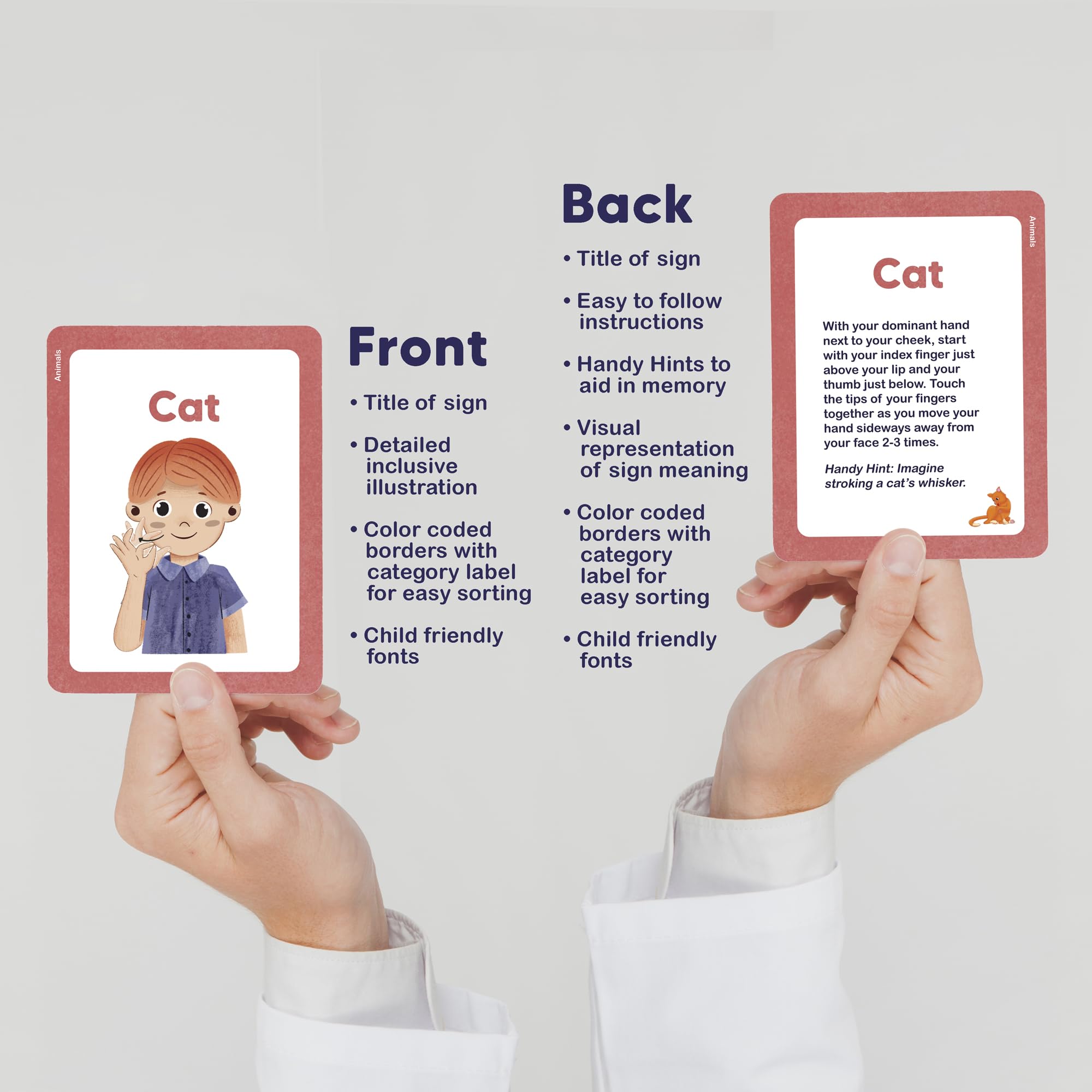 Springtime Education ASL flash cards early vocabulary for daily practice.