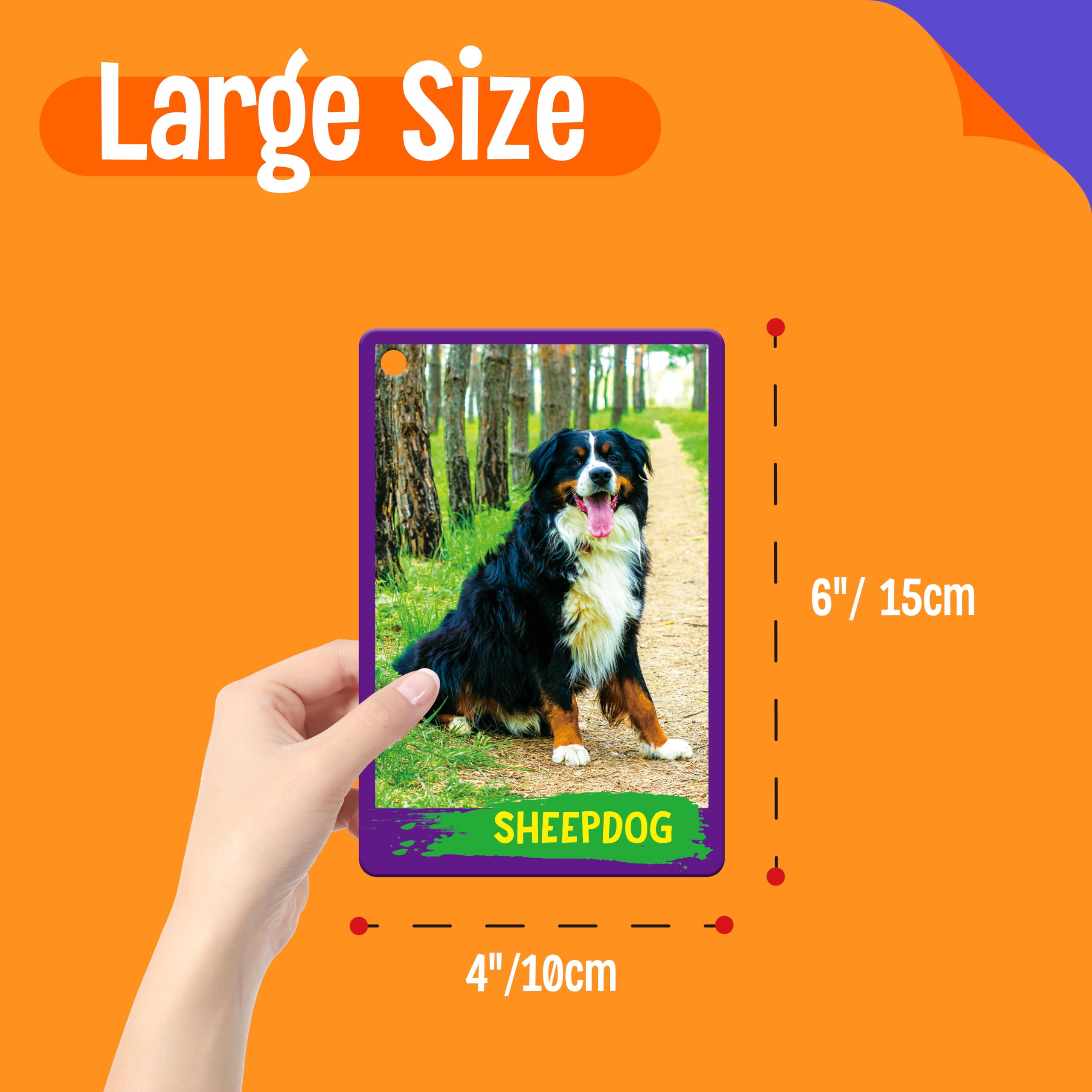 SpriteGru 120-animal cards organized by five categories for engaging learning
