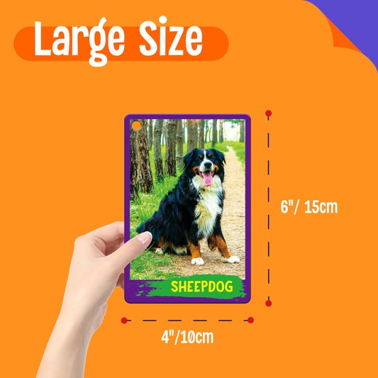 SpriteGru 120-animal cards organized by five categories for engaging learning