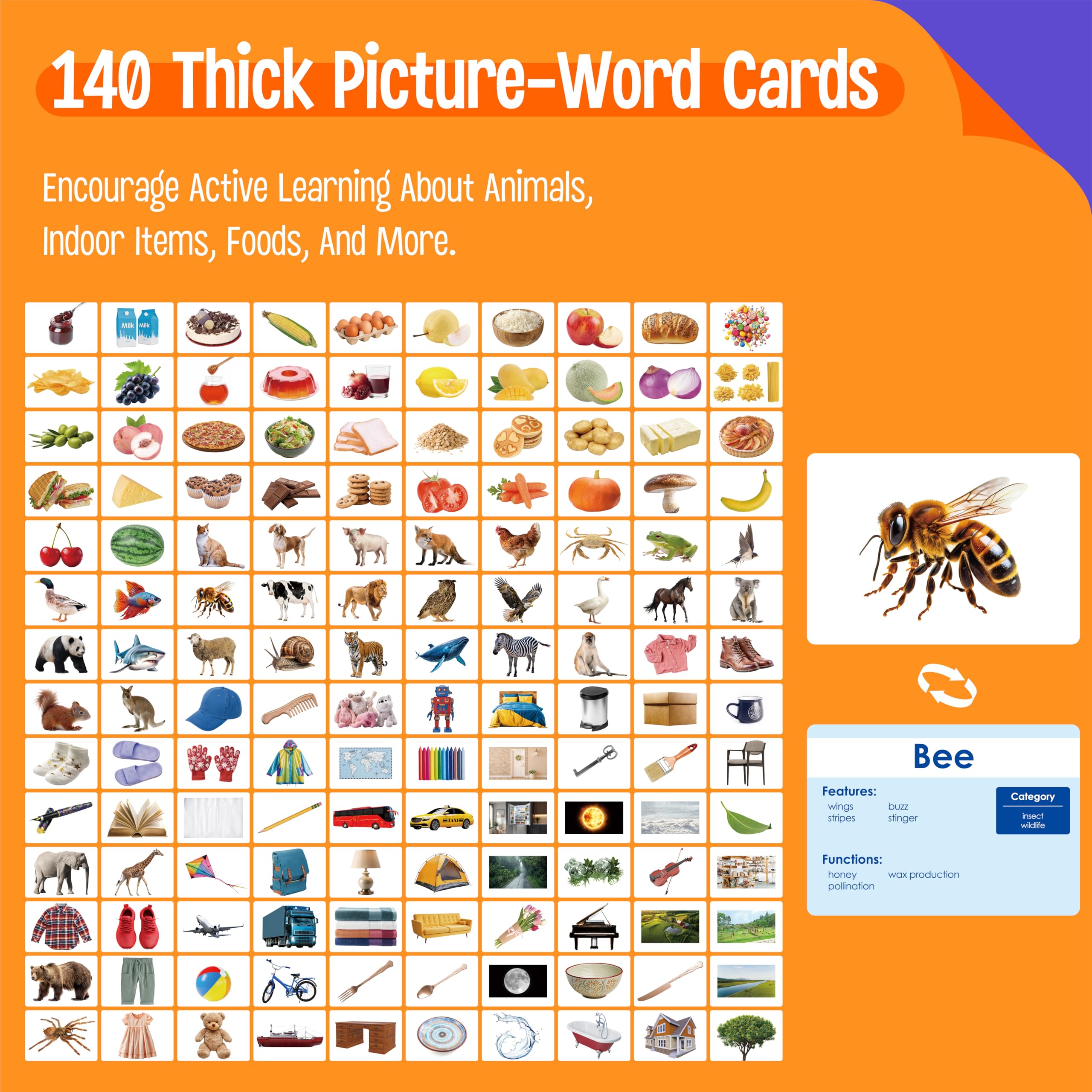 SpriteGru 140 noun picture cards back shows word category and function details.