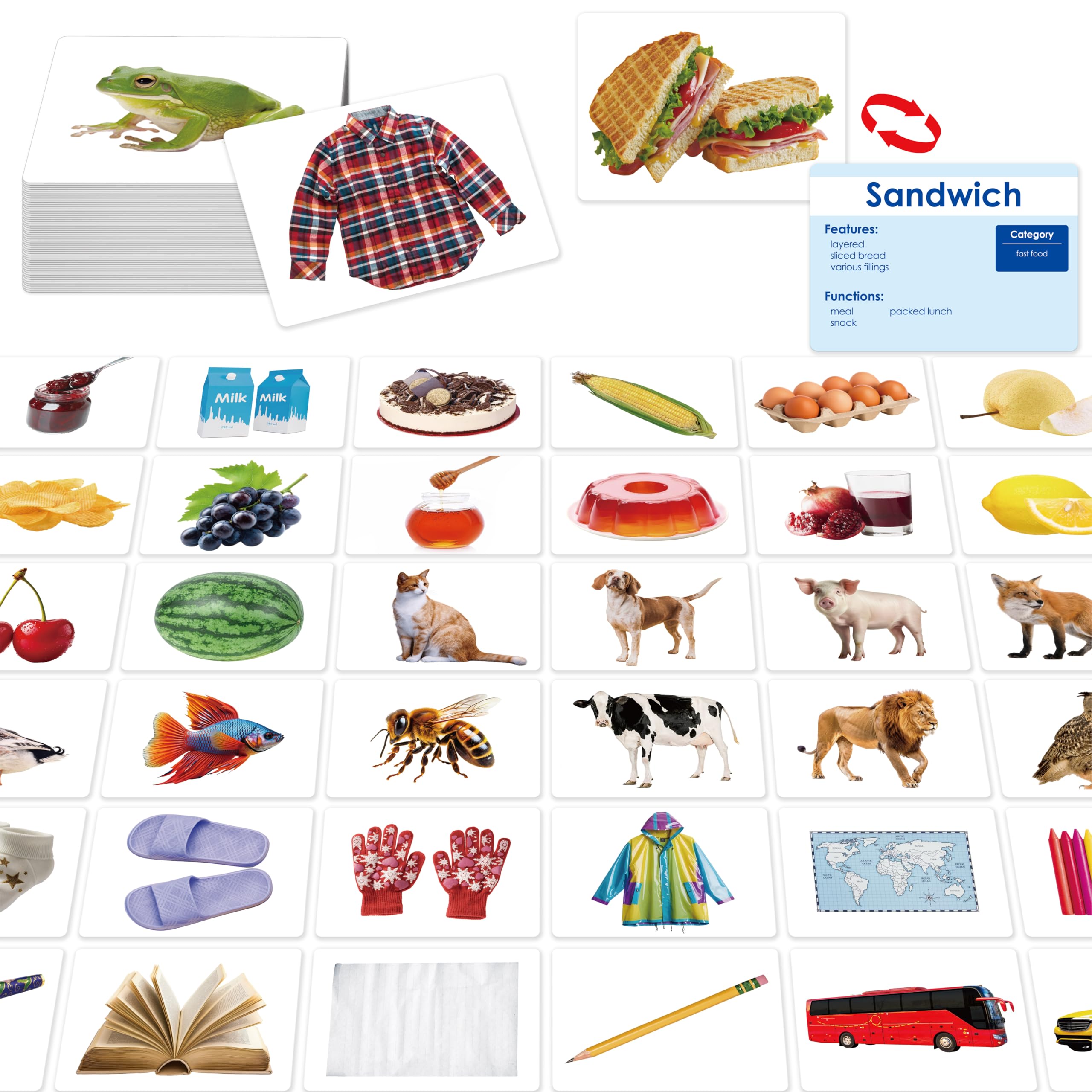 SpriteGru 140 noun picture cards front image supports daily vocabulary learning.