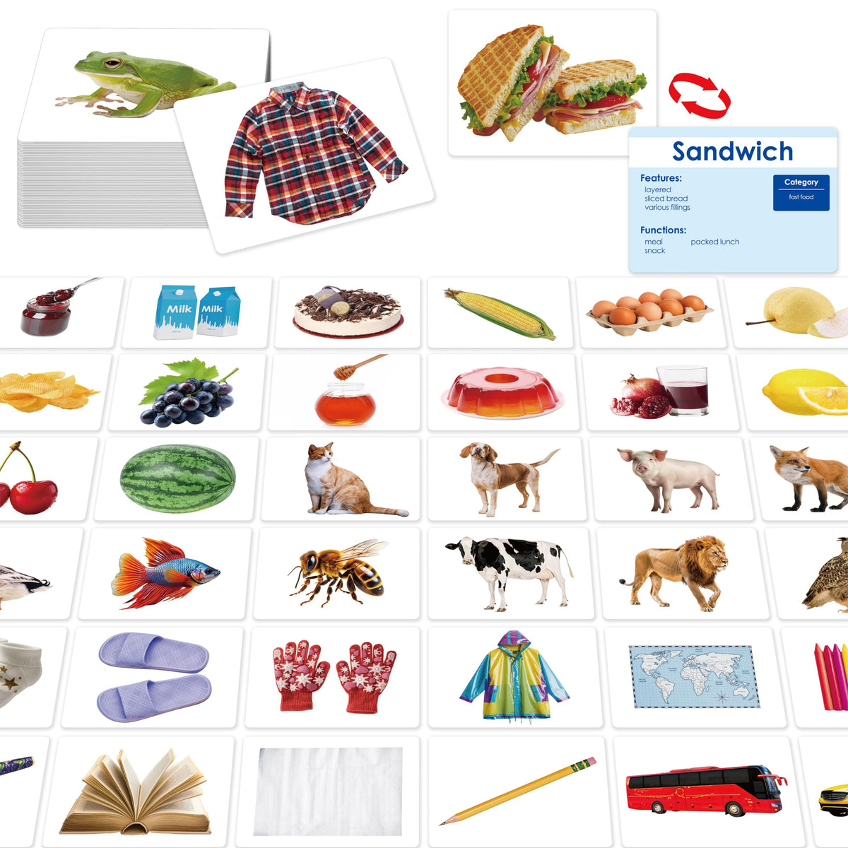 SpriteGru 140 noun picture cards front image supports daily vocabulary learning.