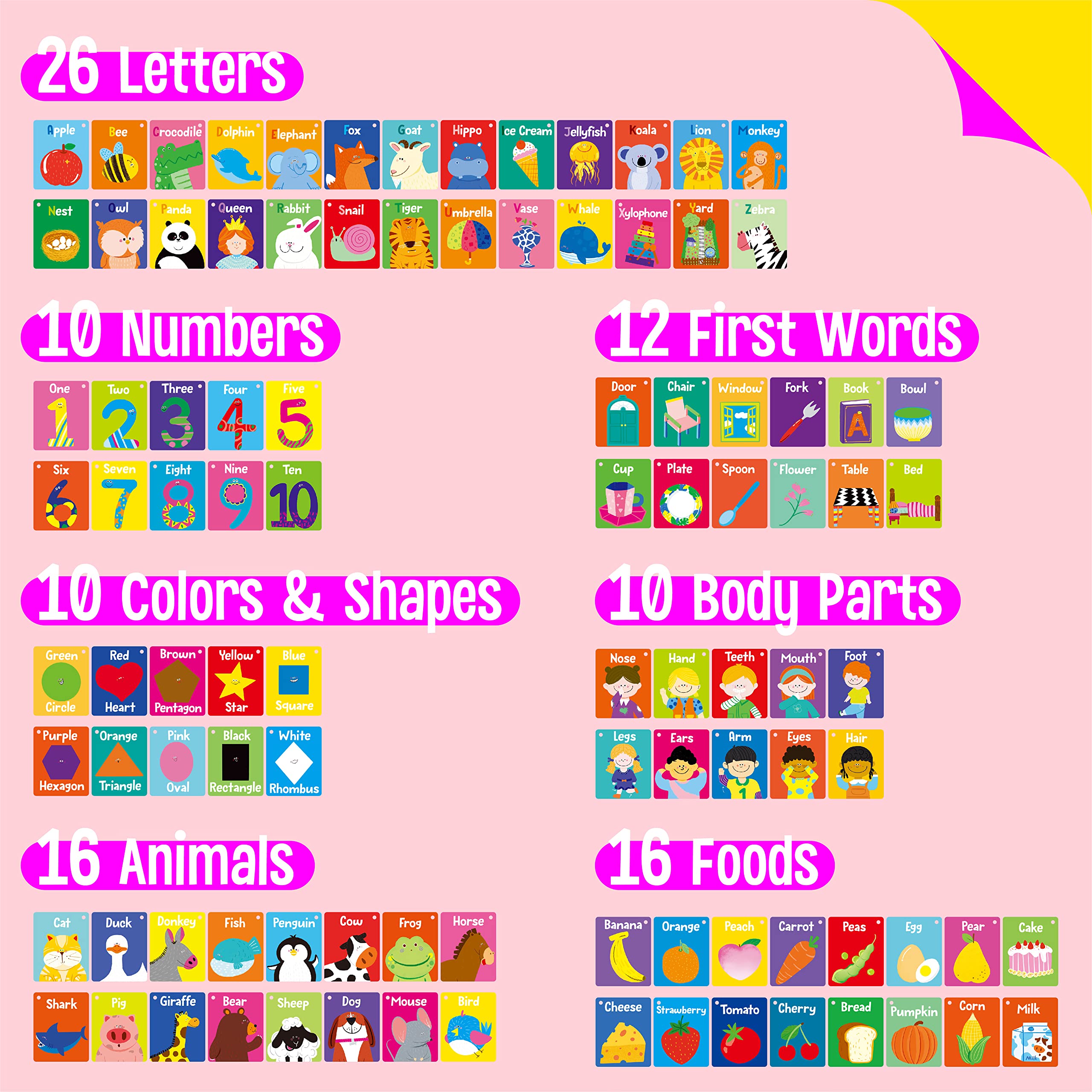SpriteGru three-ring binder keeps cards organized for quick learning sessions