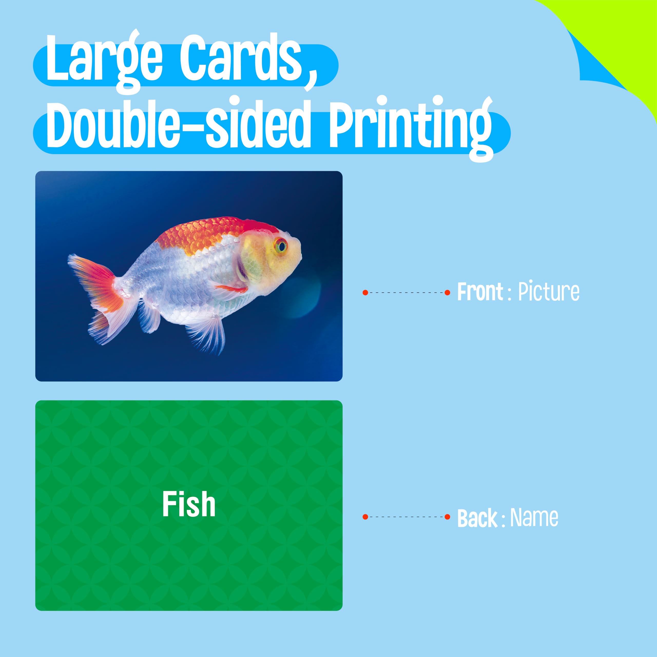 SpriteGru 50 noun flashcards large size enables easy reading from a distance and clear imagery.