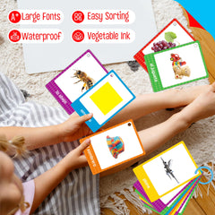 SpriteGru indoor items flash card illustrates home objects for daily practice.