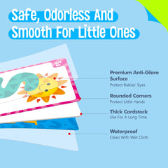 SpriteGru durable laminated cards stand up to classroom and home use.