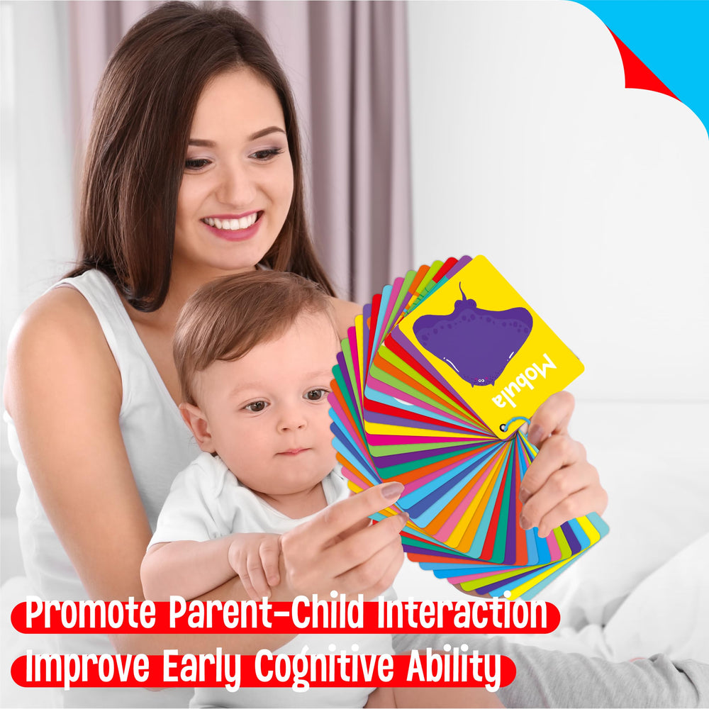 SpriteGru flashcards provide clear visuals for teacher-led activities.