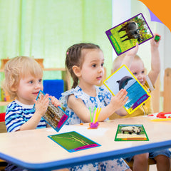 SpriteGru educational flashcards support cognitive development through categorization